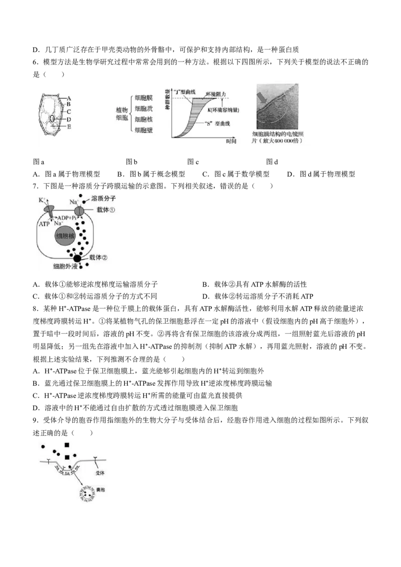 甘肃省兰州市城关区兰州第一中学2024-2025学年高三上学期开学生物试题_A1502026各地模拟卷（超值！）_9月_240910甘肃省兰州第一中学2024-2025学年高三上学期开学考试