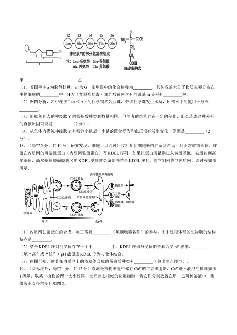 甘肃省兰州市城关区兰州第一中学2024-2025学年高三上学期开学生物试题_A1502026各地模拟卷（超值！）_9月_240910甘肃省兰州第一中学2024-2025学年高三上学期开学考试