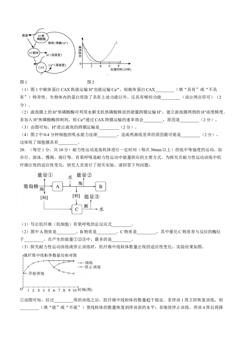 甘肃省兰州市城关区兰州第一中学2024-2025学年高三上学期开学生物试题_A1502026各地模拟卷（超值！）_9月_240910甘肃省兰州第一中学2024-2025学年高三上学期开学考试