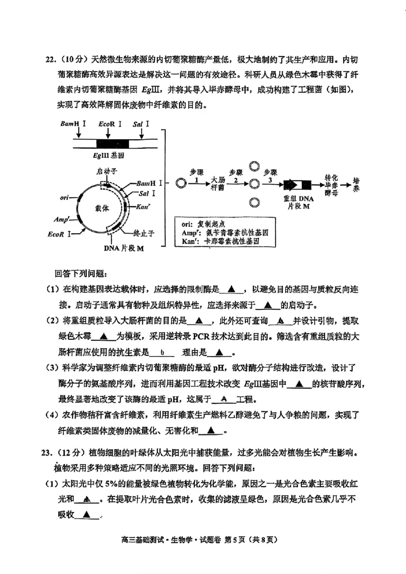 浙江省嘉兴市2024-2025学年高三上学期9月基础测试生物试题_A1502026各地模拟卷（超值！）_9月_240920浙江省嘉兴市2024-2025学年高三上学期9月基础测试