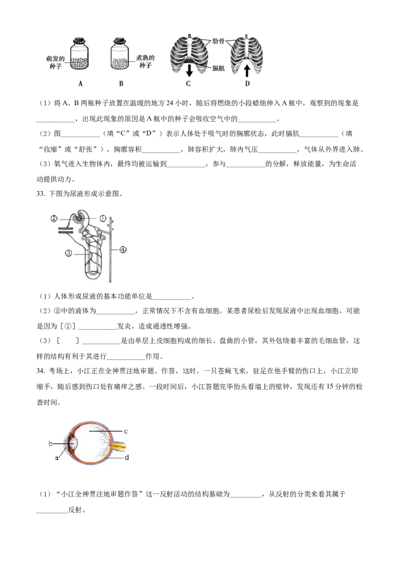 精品解析：北京市朝阳区2019-2020学年七年级下学期期末生物试题（原卷版）(1)_北京初中期末题_C605-京七八九_B京生物七八九_北京7下生物_2019-2020