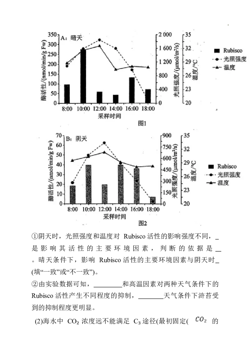 辽宁省名校联盟2024~2025学年高三上学期12月月考生物试卷_A1502026各地模拟卷（超值！）_12月_241209辽宁省名校联盟2024年高三12月份联合考试