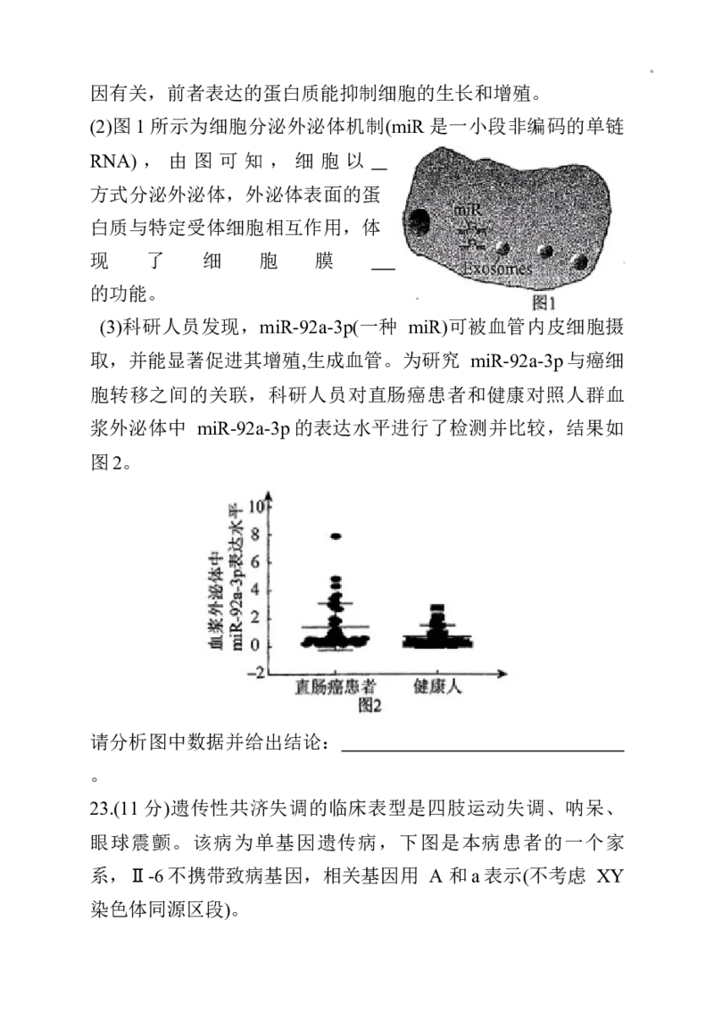 辽宁省名校联盟2024~2025学年高三上学期12月月考生物试卷_A1502026各地模拟卷（超值！）_12月_241209辽宁省名校联盟2024年高三12月份联合考试