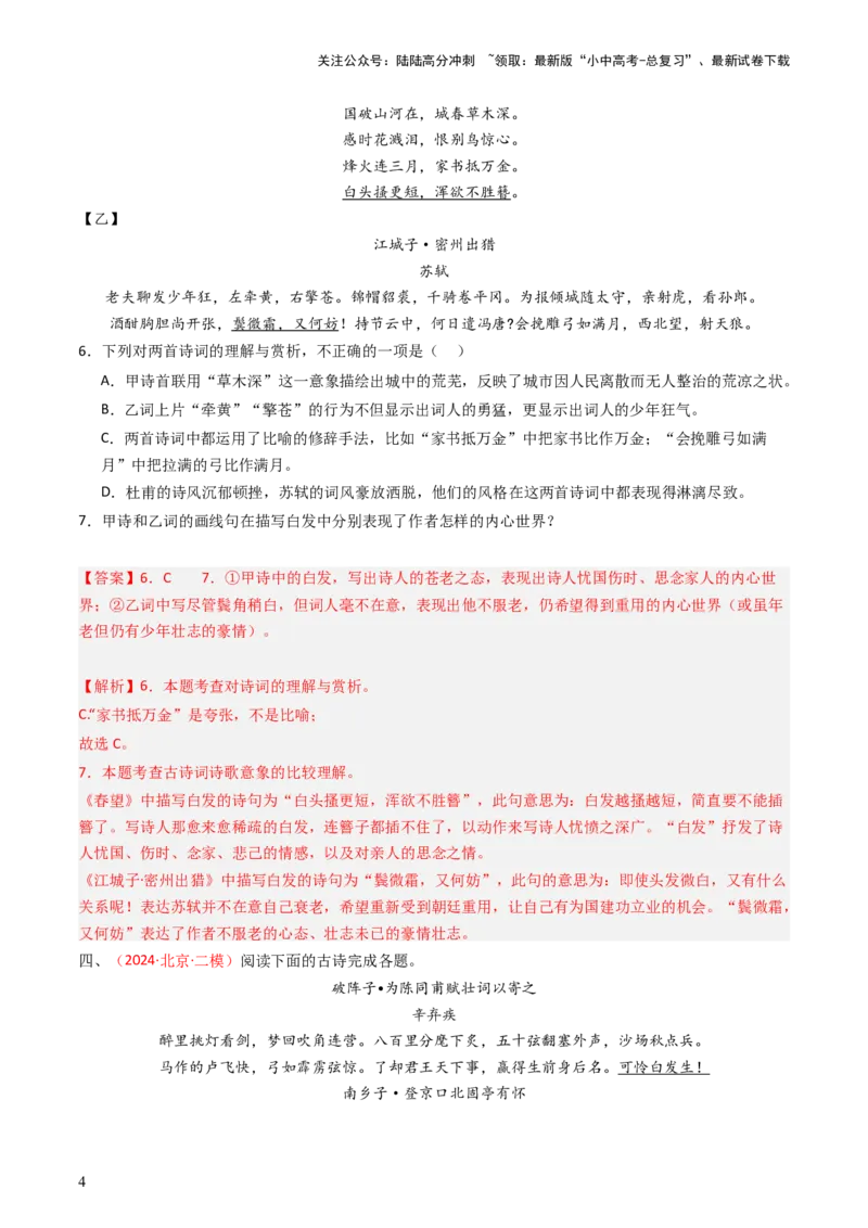 专题28：九下古诗词对比阅读精练-备战2025年中考语文一轮复习古代诗歌阅读（全国通用）解析版_02中考总复习（2026版更新中）_01-语文-中考总复习_2025年中考资料_中考文言文专项