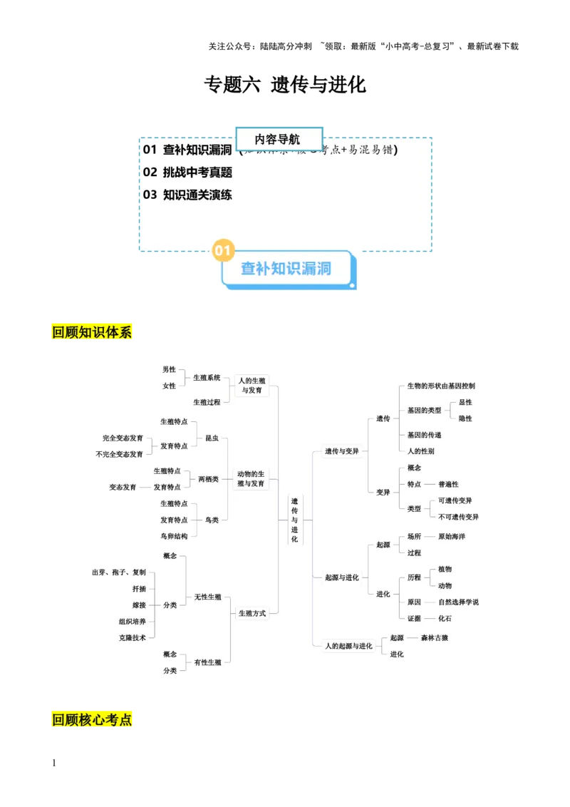 专题六遗传与进化（解析版）_02中考总复习（2026版更新中）_08-生物-中考总复习_2024年中考复习资料_三轮复习_查漏补缺2024年中考生物复习冲刺过关（全国通用）_查补知识&middot;通关练