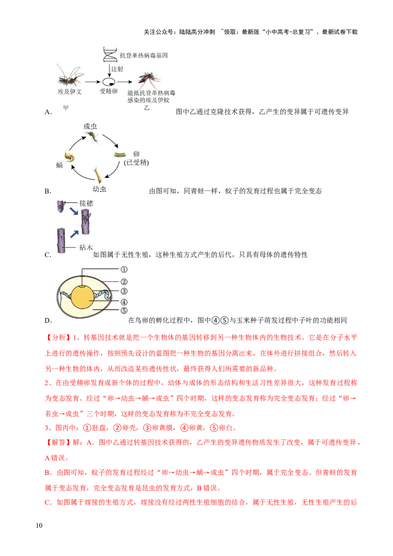 专题六遗传与进化（解析版）_02中考总复习（2026版更新中）_08-生物-中考总复习_2024年中考复习资料_三轮复习_查漏补缺2024年中考生物复习冲刺过关（全国通用）_查补知识&middot;通关练