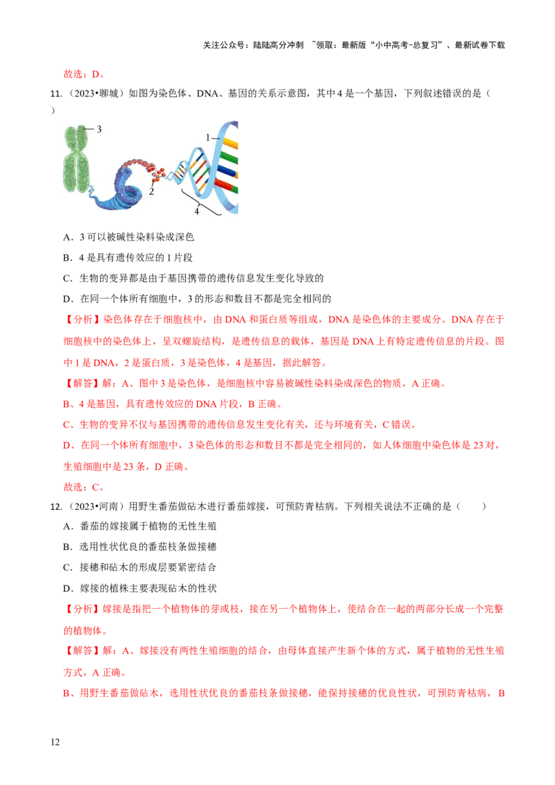 专题六遗传与进化（解析版）_02中考总复习（2026版更新中）_08-生物-中考总复习_2024年中考复习资料_三轮复习_查漏补缺2024年中考生物复习冲刺过关（全国通用）_查补知识&middot;通关练