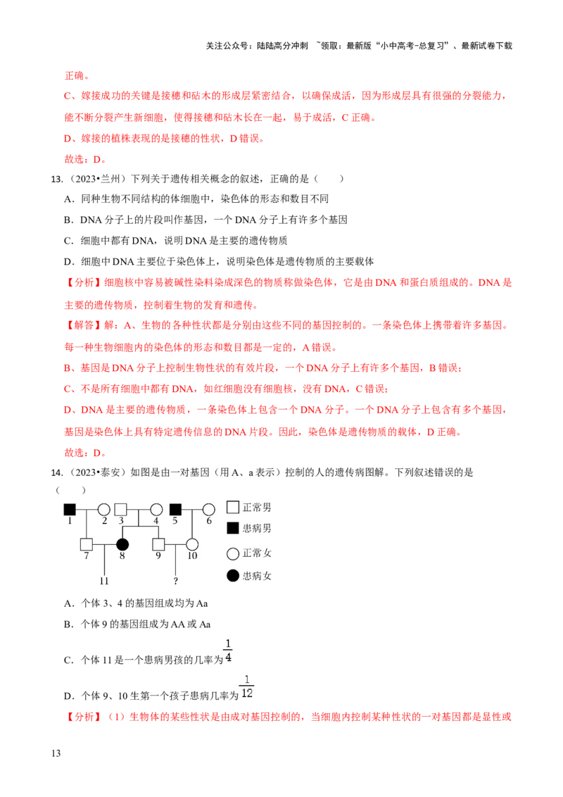 专题六遗传与进化（解析版）_02中考总复习（2026版更新中）_08-生物-中考总复习_2024年中考复习资料_三轮复习_查漏补缺2024年中考生物复习冲刺过关（全国通用）_查补知识&middot;通关练