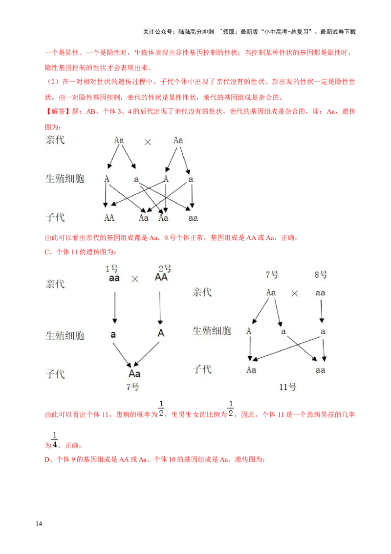 专题六遗传与进化（解析版）_02中考总复习（2026版更新中）_08-生物-中考总复习_2024年中考复习资料_三轮复习_查漏补缺2024年中考生物复习冲刺过关（全国通用）_查补知识&middot;通关练