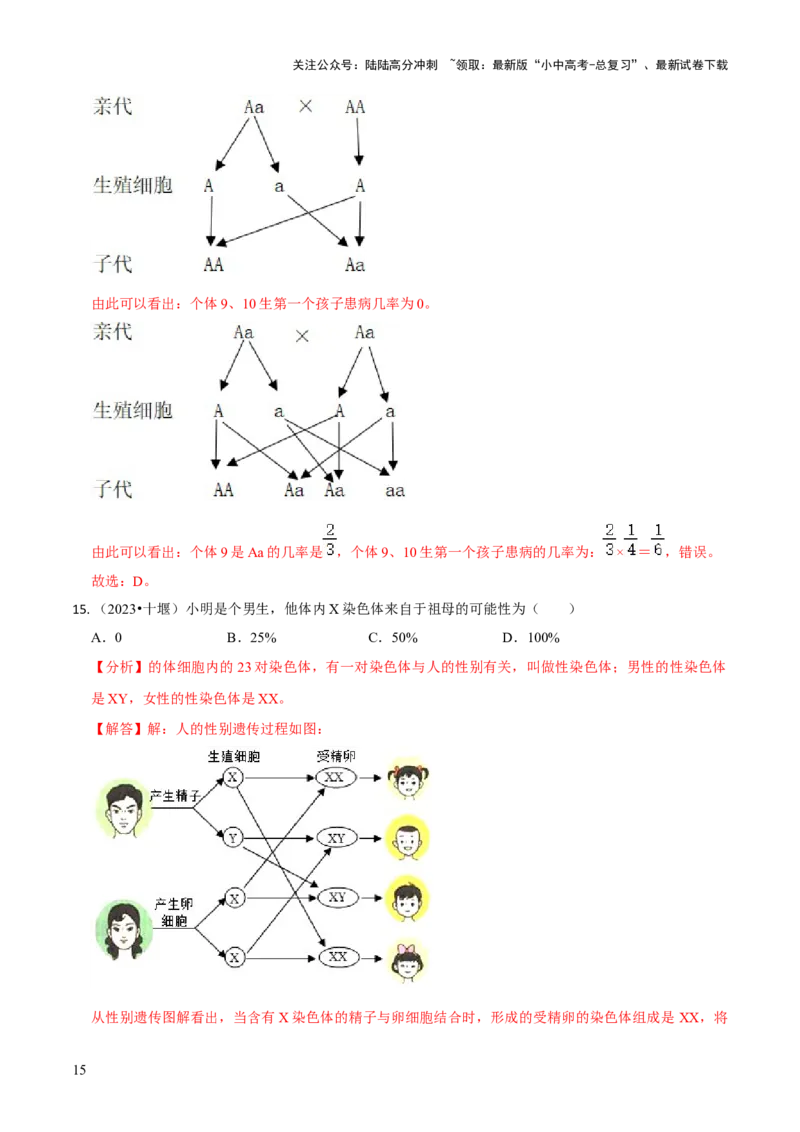 专题六遗传与进化（解析版）_02中考总复习（2026版更新中）_08-生物-中考总复习_2024年中考复习资料_三轮复习_查漏补缺2024年中考生物复习冲刺过关（全国通用）_查补知识&middot;通关练