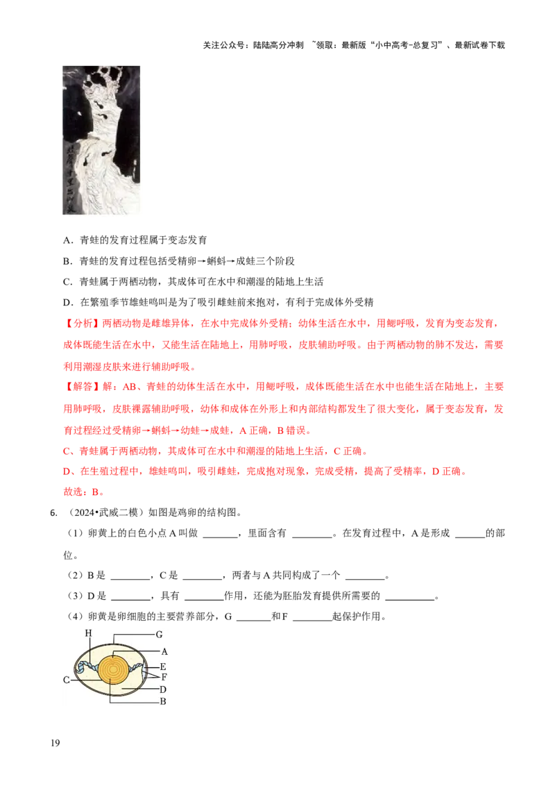 专题六遗传与进化（解析版）_02中考总复习（2026版更新中）_08-生物-中考总复习_2024年中考复习资料_三轮复习_查漏补缺2024年中考生物复习冲刺过关（全国通用）_查补知识&middot;通关练