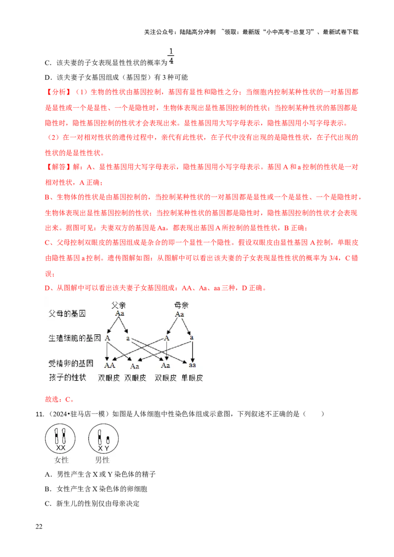 专题六遗传与进化（解析版）_02中考总复习（2026版更新中）_08-生物-中考总复习_2024年中考复习资料_三轮复习_查漏补缺2024年中考生物复习冲刺过关（全国通用）_查补知识&middot;通关练