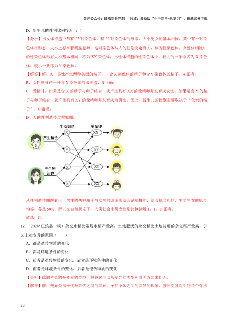 专题六遗传与进化（解析版）_02中考总复习（2026版更新中）_08-生物-中考总复习_2024年中考复习资料_三轮复习_查漏补缺2024年中考生物复习冲刺过关（全国通用）_查补知识&middot;通关练
