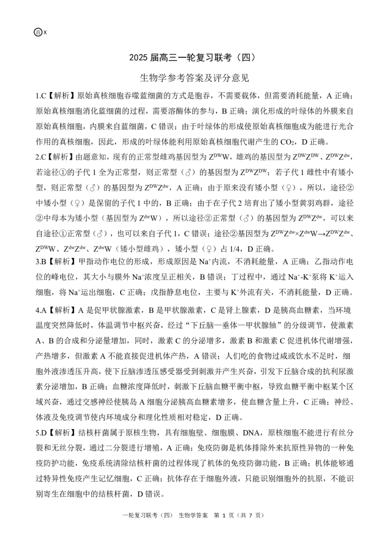 百师联盟2025届高三一轮复习联考（四）生物答案（百X）_A1502026各地模拟卷（超值！）_12月_241229百师联盟2025届高三一轮复习联考（四）（全科）