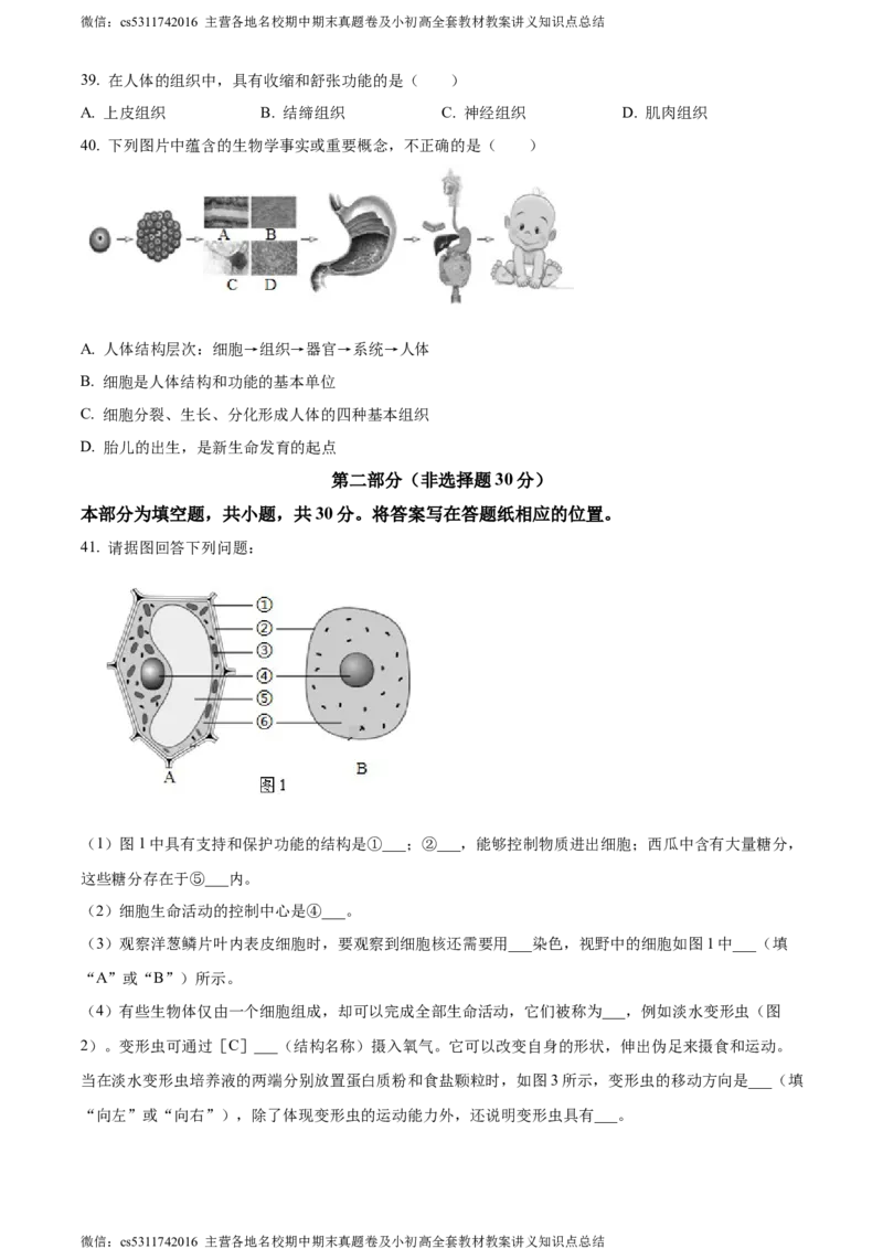 精品解析：北京市顺义区杨镇第二中学2023-2024学年七年级上学期期中生物试题（原卷版）(1)_北京初中期末题_C605-京七八九_B京生物七八九_北京7上生物_2022-2024_北京生物7上期中