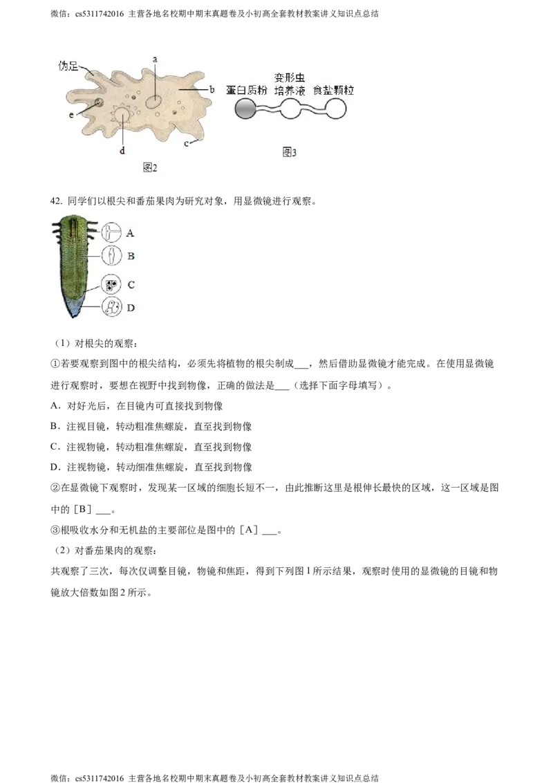 精品解析：北京市顺义区杨镇第二中学2023-2024学年七年级上学期期中生物试题（原卷版）(1)_北京初中期末题_C605-京七八九_B京生物七八九_北京7上生物_2022-2024_北京生物7上期中