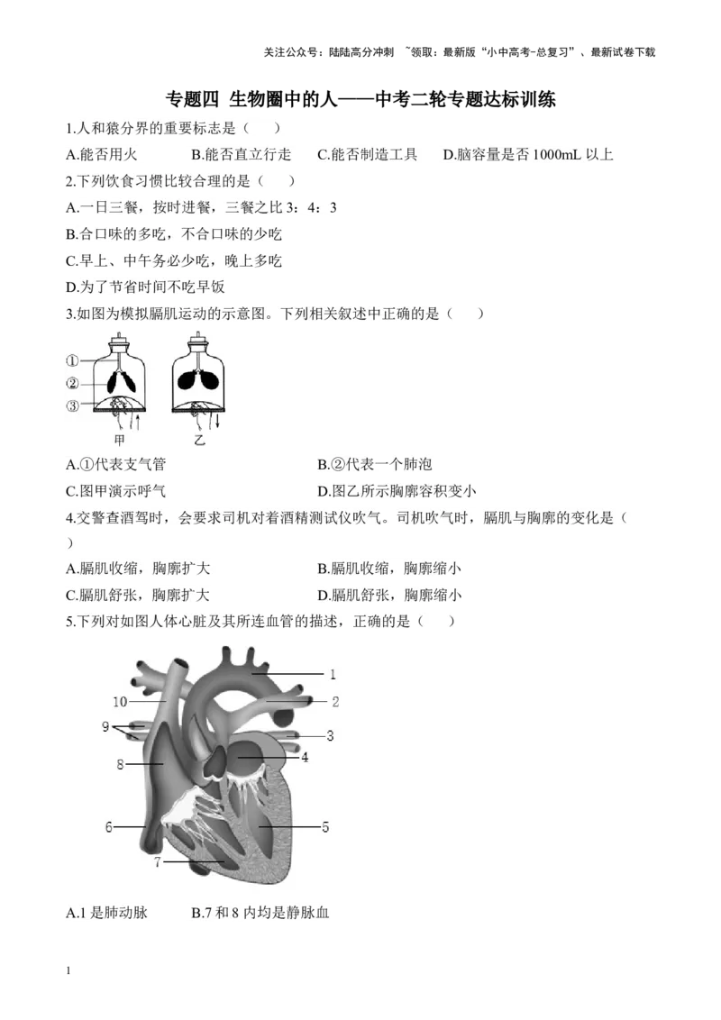 专题四生物圈中的人&mdash;&mdash;2025年中考生物二轮专题达标训练（含解析）_02中考总复习（2026版更新中）_08-生物-中考总复习_2025中考复习资料_2025年中考生物二轮专题达标训练(含解析)