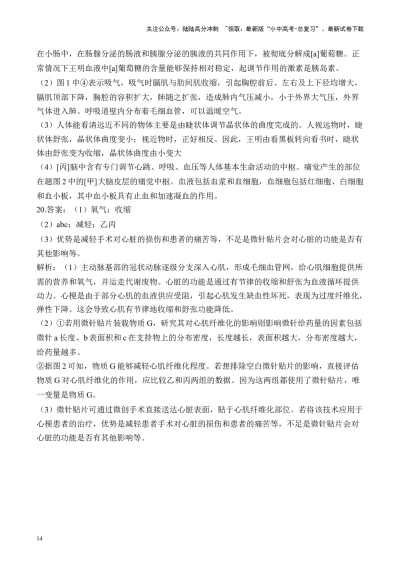 专题四生物圈中的人&mdash;&mdash;2025年中考生物二轮专题达标训练（含解析）_02中考总复习（2026版更新中）_08-生物-中考总复习_2025中考复习资料_2025年中考生物二轮专题达标训练(含解析)