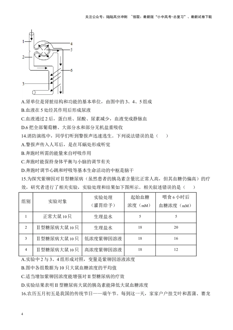 专题四生物圈中的人&mdash;&mdash;2025年中考生物二轮专题达标训练（含解析）_02中考总复习（2026版更新中）_08-生物-中考总复习_2025中考复习资料_2025年中考生物二轮专题达标训练(含解析)