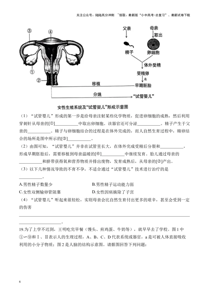 专题四生物圈中的人&mdash;&mdash;2025年中考生物二轮专题达标训练（含解析）_02中考总复习（2026版更新中）_08-生物-中考总复习_2025中考复习资料_2025年中考生物二轮专题达标训练(含解析)