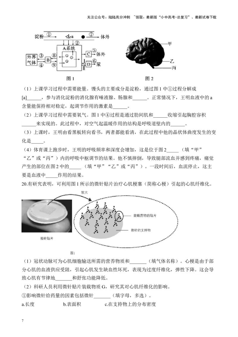 专题四生物圈中的人&mdash;&mdash;2025年中考生物二轮专题达标训练（含解析）_02中考总复习（2026版更新中）_08-生物-中考总复习_2025中考复习资料_2025年中考生物二轮专题达标训练(含解析)