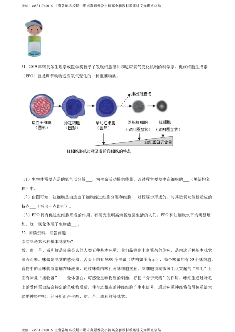 精品解析：北京市第二中学教育集团2023-2024学年七年级下学期生物期中试题（原卷版）(1)_北京初中期末题_C605-京七八九_B京生物七八九_北京7下生物_2022-2024_北京生物7下期中