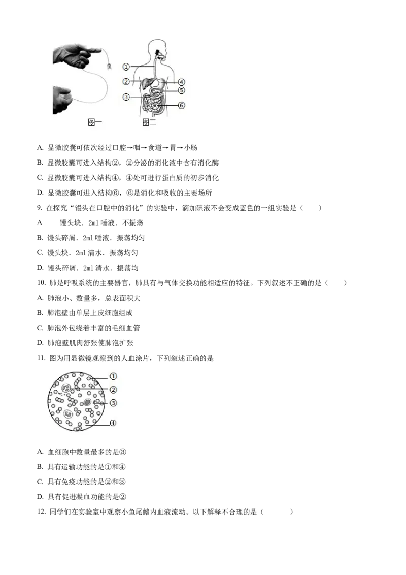 精品解析：北京市第十三中学分校2021-2022学年八年级下学期期中生物试题（原卷版）(1)_北京初中期末题_C605-京七八九_B京生物七八九_北京八下生物