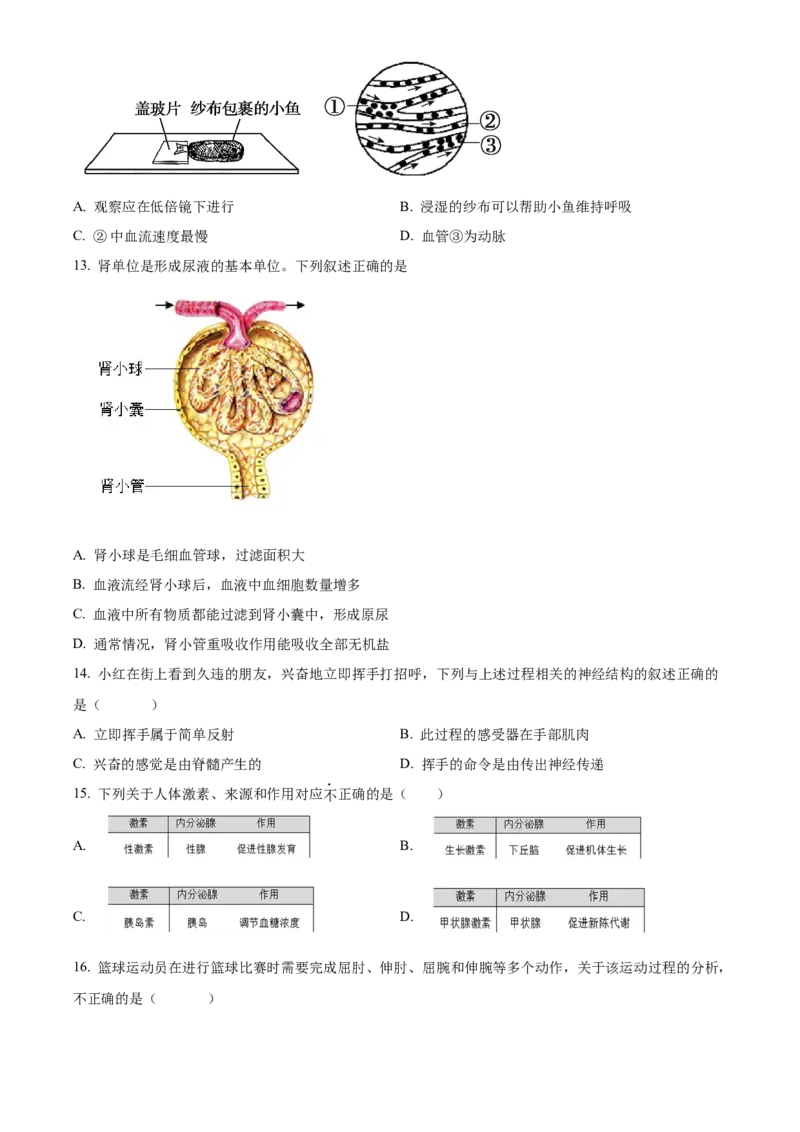 精品解析：北京市第十三中学分校2021-2022学年八年级下学期期中生物试题（原卷版）(1)_北京初中期末题_C605-京七八九_B京生物七八九_北京八下生物