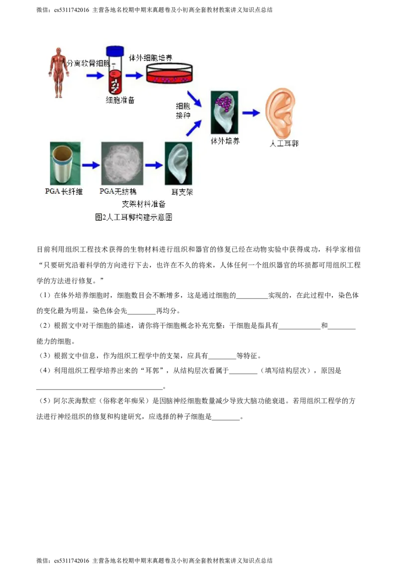 精品解析：北京师范大学附属中学2023-2024学年七年级上学期期中生物试卷（原卷版）(1)_北京初中期末题_C605-京七八九_B京生物七八九_北京7上生物_2022-2024_北京生物7上期中