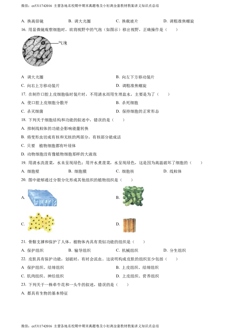 精品解析：北京师范大学附属中学2023-2024学年七年级上学期期中生物试卷（原卷版）(1)_北京初中期末题_C605-京七八九_B京生物七八九_北京7上生物_2022-2024_北京生物7上期中