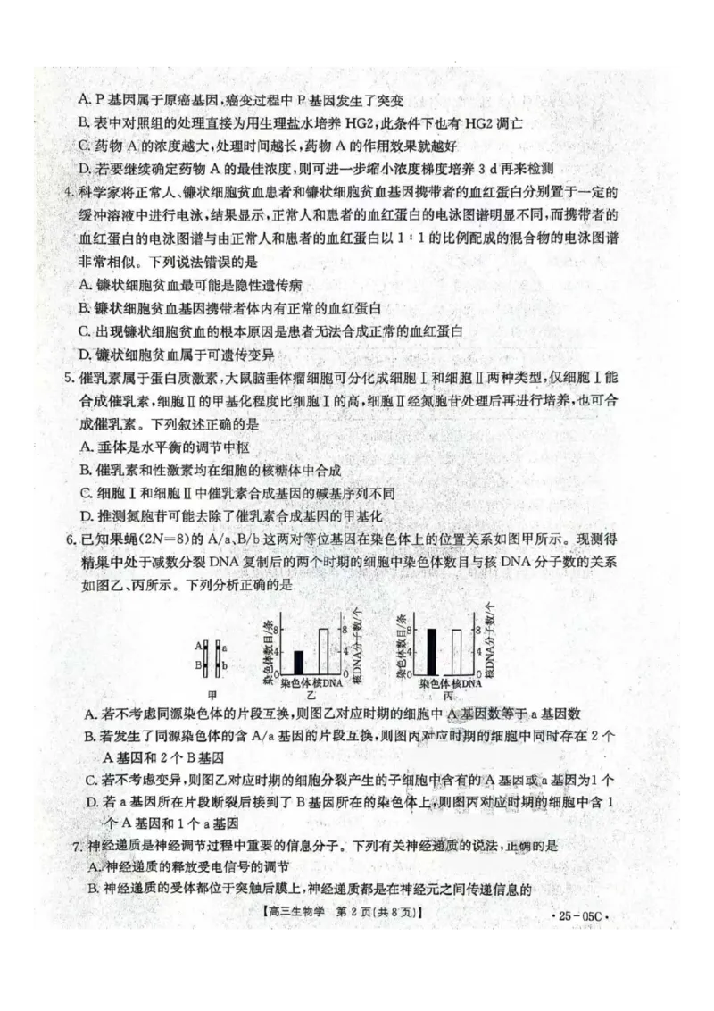 河北省邢台市邢襄联盟2024-2025学年高三上学期开学考试生物试题_A1502026各地模拟卷（超值！）_9月_240903河北金太阳2024-2025学年高三上学期开学考试（24-05C）