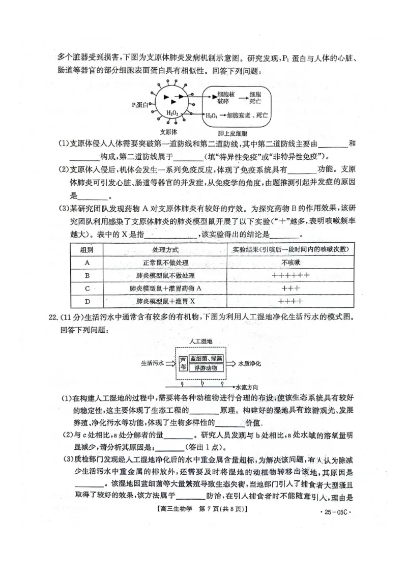 河北省邢台市邢襄联盟2024-2025学年高三上学期开学考试生物试题_A1502026各地模拟卷（超值！）_9月_240903河北金太阳2024-2025学年高三上学期开学考试（24-05C）