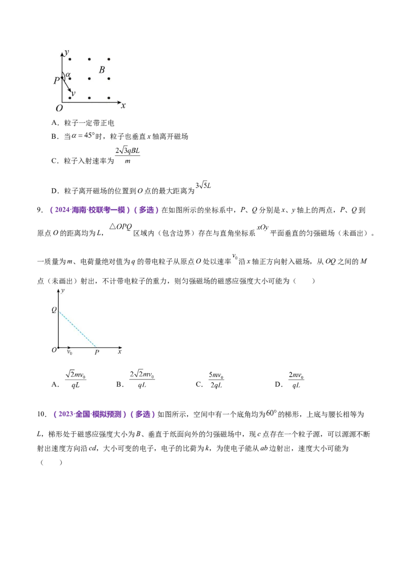 专题10磁场带电粒子在磁场中的运动（练习）（原卷版）_4.2025物理总复习_2024年新高考资料_2.2024二轮复习_2024年高考物理二轮复习讲练测（新教材新高考）