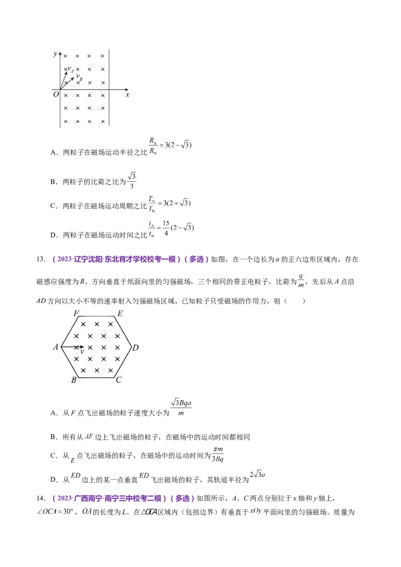 专题10磁场带电粒子在磁场中的运动（练习）（原卷版）_4.2025物理总复习_2024年新高考资料_2.2024二轮复习_2024年高考物理二轮复习讲练测（新教材新高考）