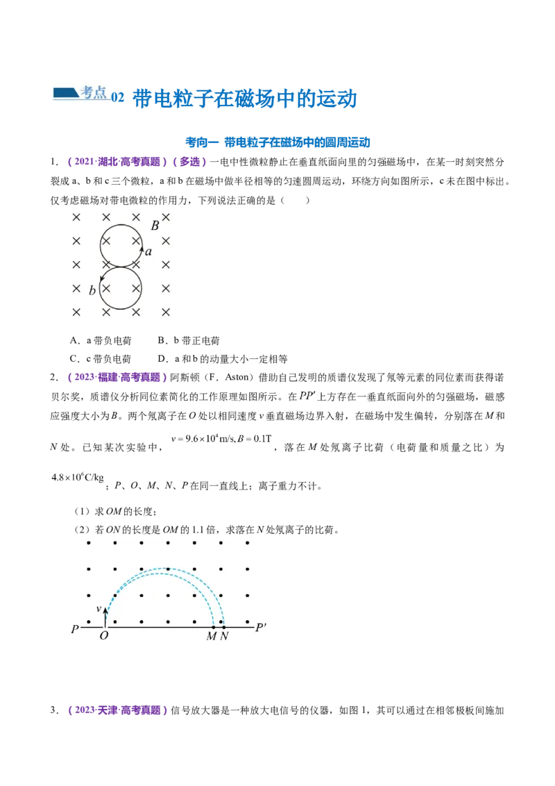 专题10磁场带电粒子在磁场中的运动（练习）（原卷版）_4.2025物理总复习_2024年新高考资料_2.2024二轮复习_2024年高考物理二轮复习讲练测（新教材新高考）