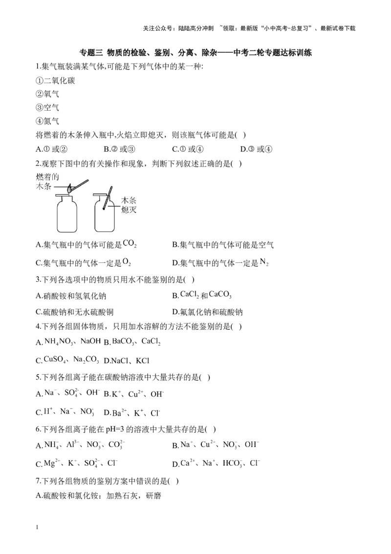 专题三物质的检验、鉴别、分离、除杂2025届中考化学二轮专题达标训练（含答案）_02中考总复习（2026版更新中）_05-化学-中考总复习_2025年中考复习资料