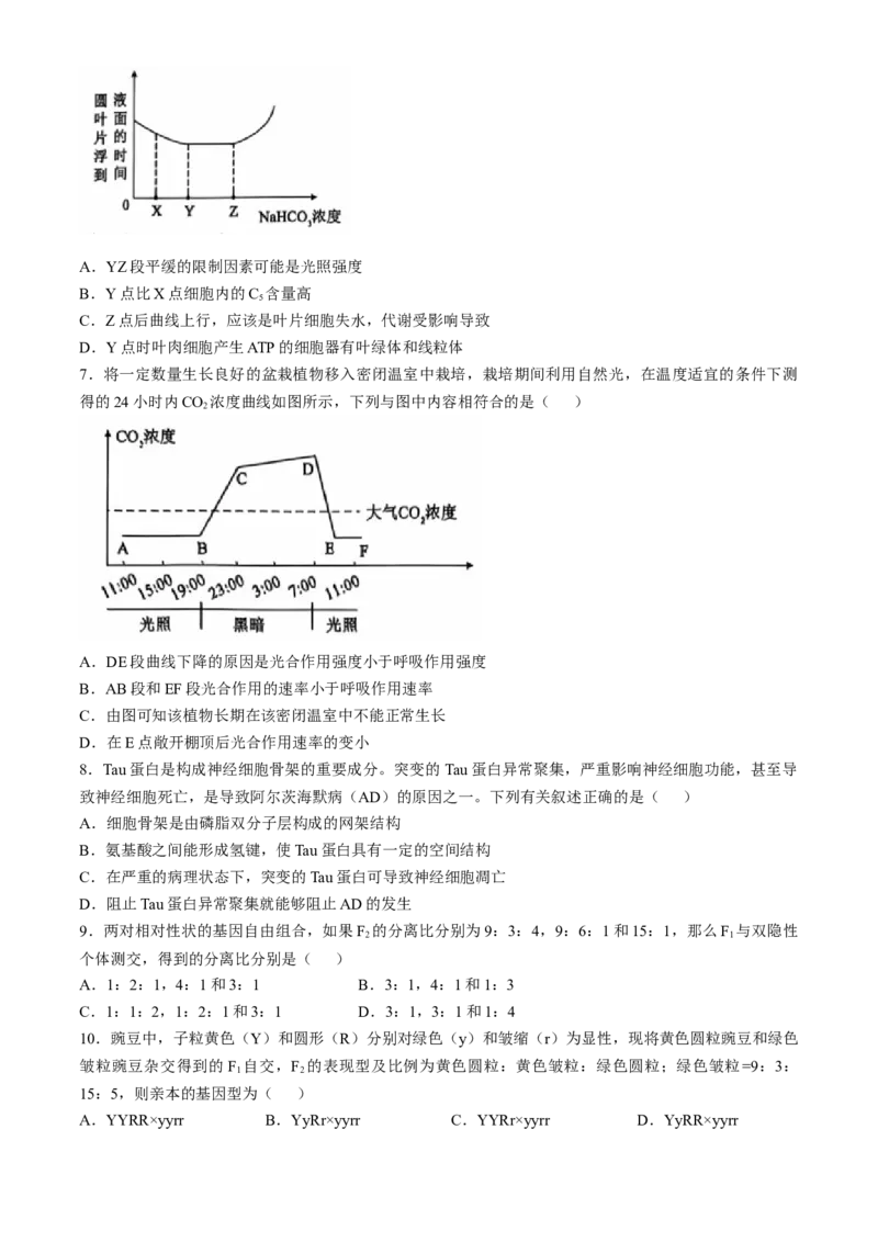 辽宁省重点高中沈阳市郊联体2024-2025学年高三上学期10月月考试题生物Word版含答案_A1502026各地模拟卷（超值！）_10月