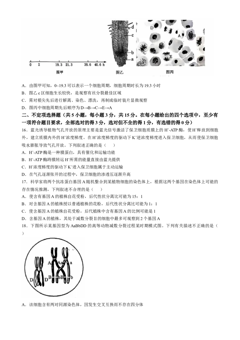 辽宁省重点高中沈阳市郊联体2024-2025学年高三上学期10月月考试题生物Word版含答案_A1502026各地模拟卷（超值！）_10月