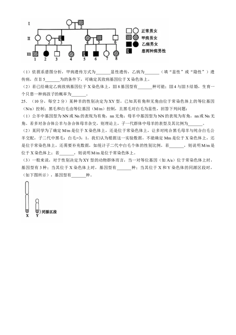 辽宁省重点高中沈阳市郊联体2024-2025学年高三上学期10月月考试题生物Word版含答案_A1502026各地模拟卷（超值！）_10月