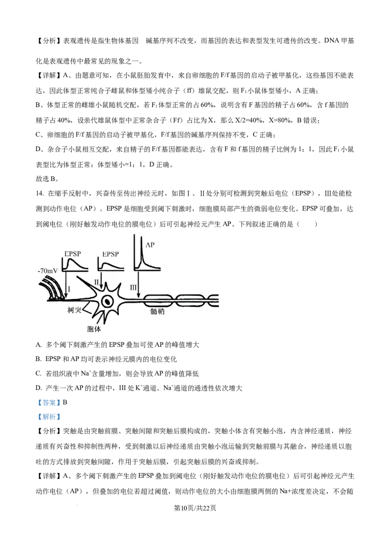 精品解析：湖北省武汉市东西湖区华中师范大学第一附属中学2024-2025学年高三上学期11月期中生物试题（解析版）_A1502026各地模拟卷（超值！）_11月