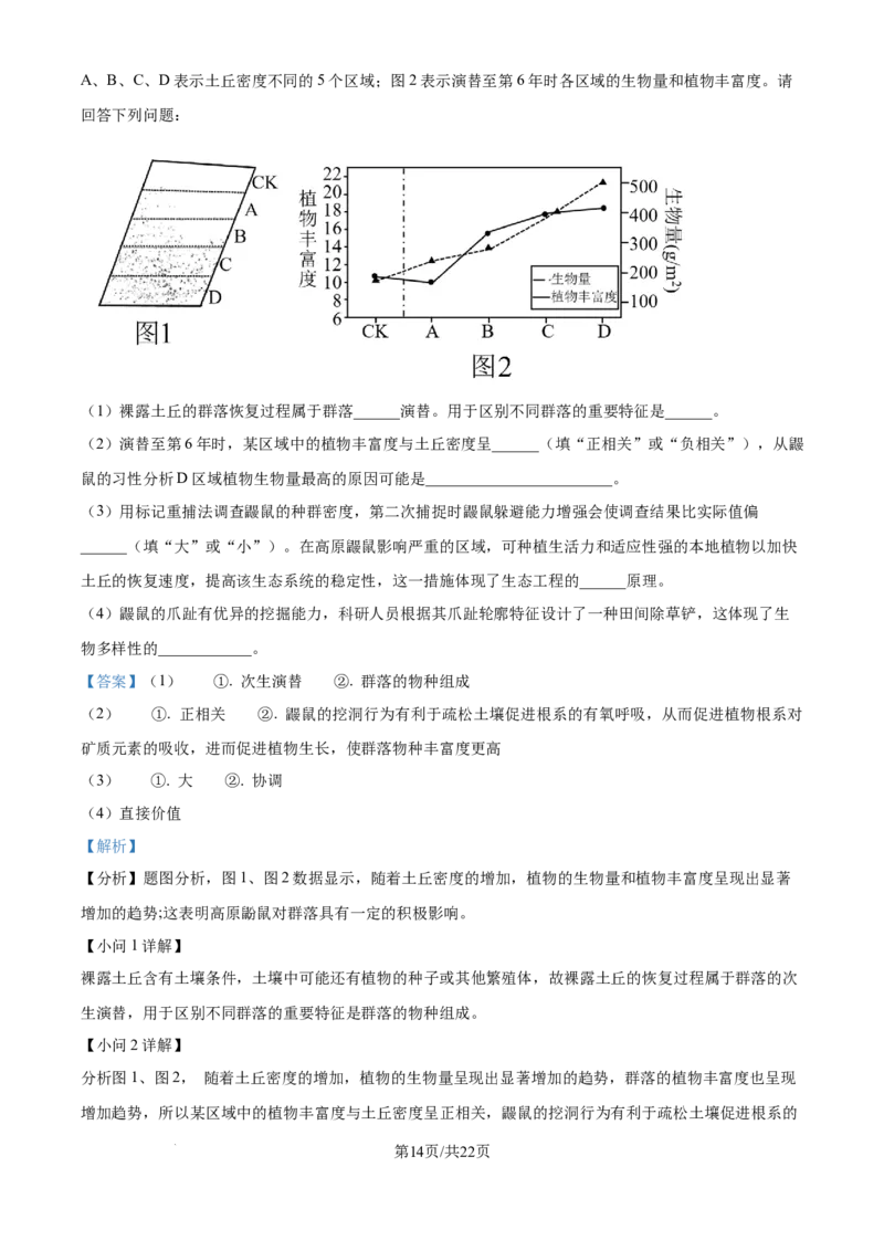 精品解析：湖北省武汉市东西湖区华中师范大学第一附属中学2024-2025学年高三上学期11月期中生物试题（解析版）_A1502026各地模拟卷（超值！）_11月