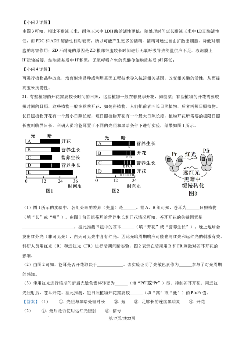 精品解析：湖北省武汉市东西湖区华中师范大学第一附属中学2024-2025学年高三上学期11月期中生物试题（解析版）_A1502026各地模拟卷（超值！）_11月
