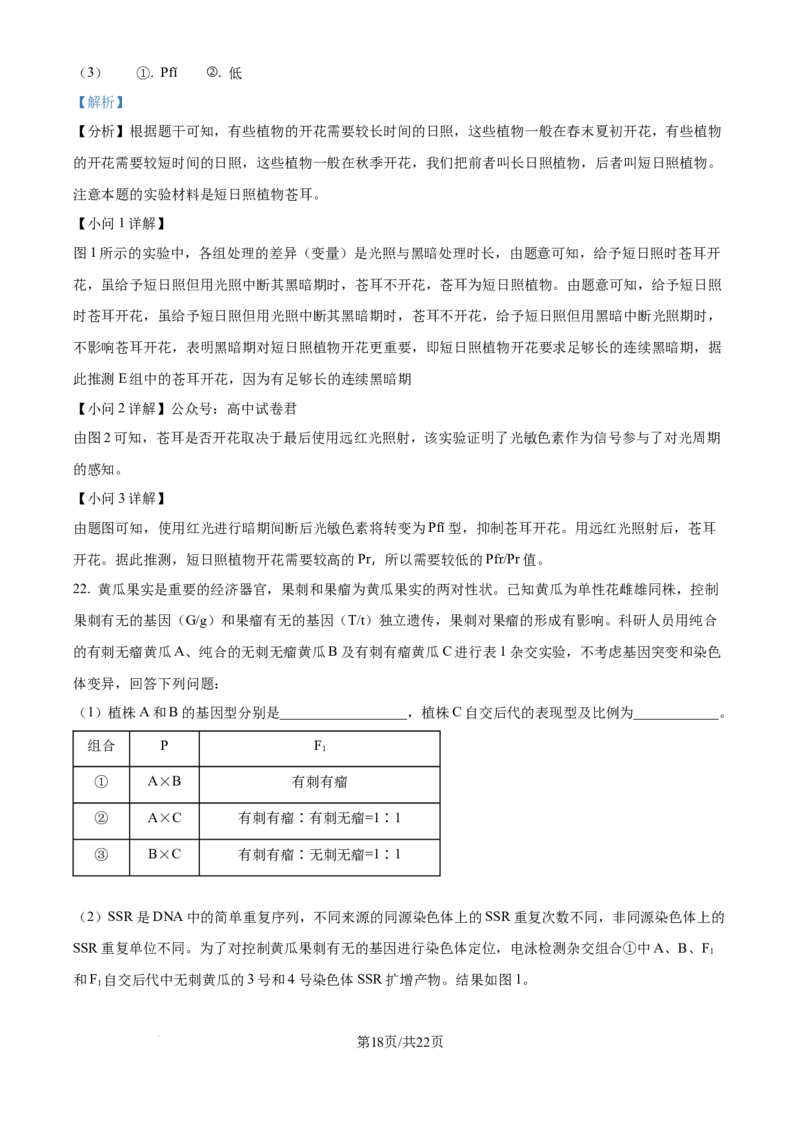 精品解析：湖北省武汉市东西湖区华中师范大学第一附属中学2024-2025学年高三上学期11月期中生物试题（解析版）_A1502026各地模拟卷（超值！）_11月
