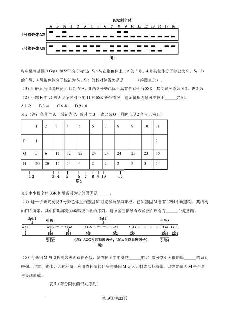 精品解析：湖北省武汉市东西湖区华中师范大学第一附属中学2024-2025学年高三上学期11月期中生物试题（解析版）_A1502026各地模拟卷（超值！）_11月