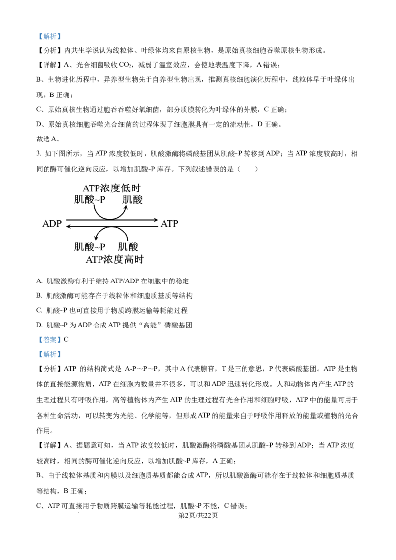 精品解析：湖北省武汉市东西湖区华中师范大学第一附属中学2024-2025学年高三上学期11月期中生物试题（解析版）_A1502026各地模拟卷（超值！）_11月