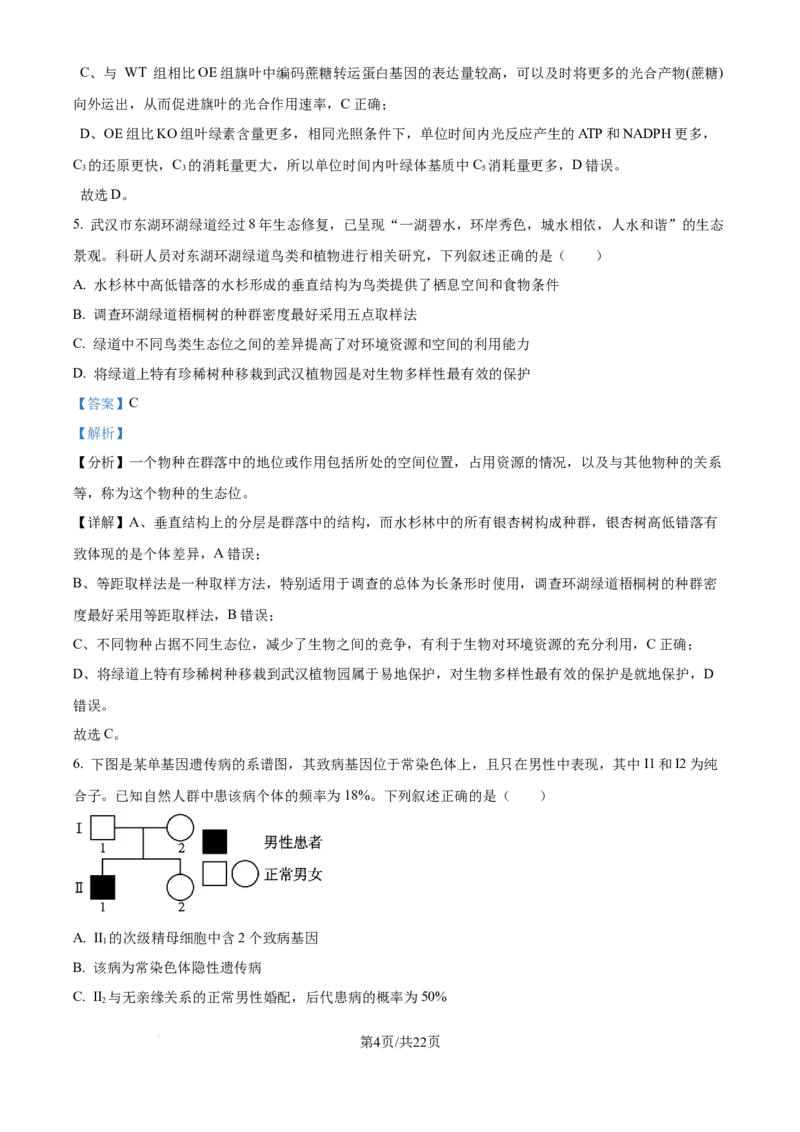 精品解析：湖北省武汉市东西湖区华中师范大学第一附属中学2024-2025学年高三上学期11月期中生物试题（解析版）_A1502026各地模拟卷（超值！）_11月