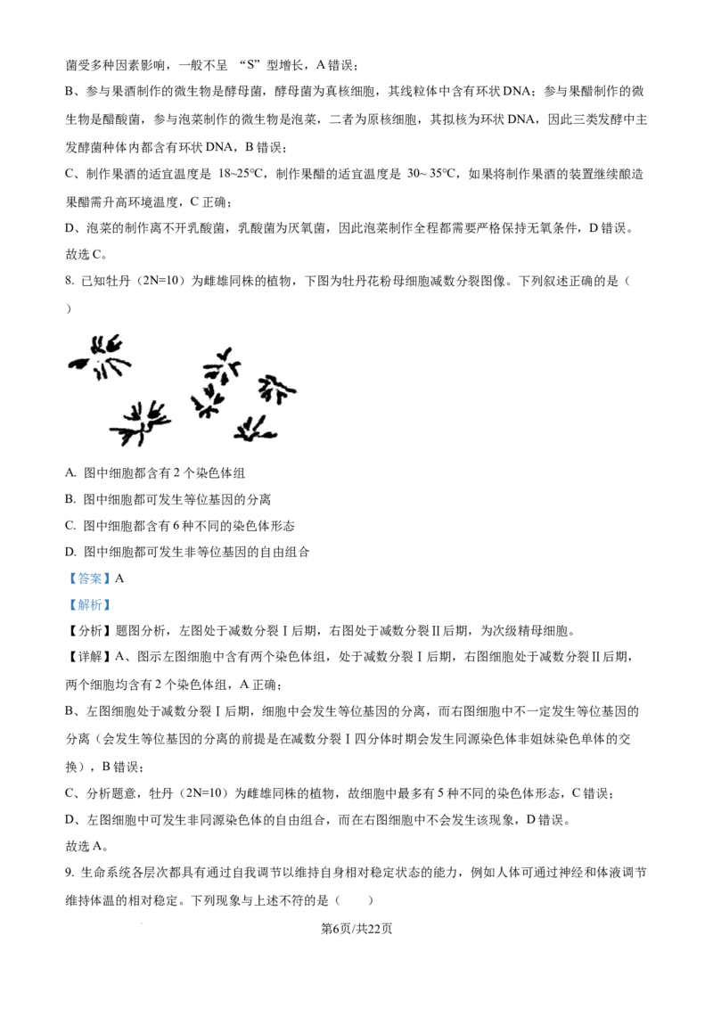精品解析：湖北省武汉市东西湖区华中师范大学第一附属中学2024-2025学年高三上学期11月期中生物试题（解析版）_A1502026各地模拟卷（超值！）_11月