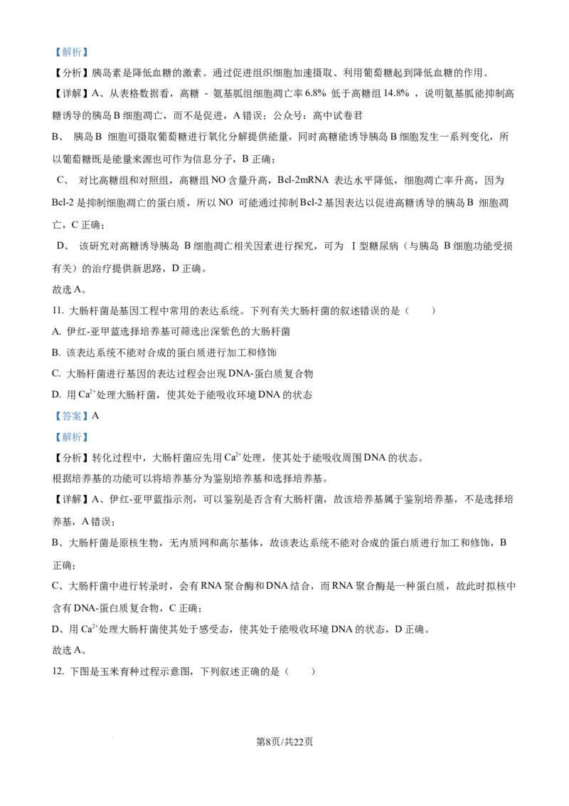 精品解析：湖北省武汉市东西湖区华中师范大学第一附属中学2024-2025学年高三上学期11月期中生物试题（解析版）_A1502026各地模拟卷（超值！）_11月