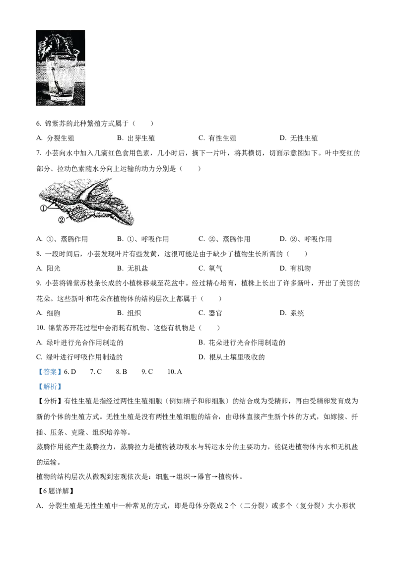 2023年山西省阳泉市中考生物真题（解析卷）_❤山西历年中考真题_8.山西中考生物2018-2025