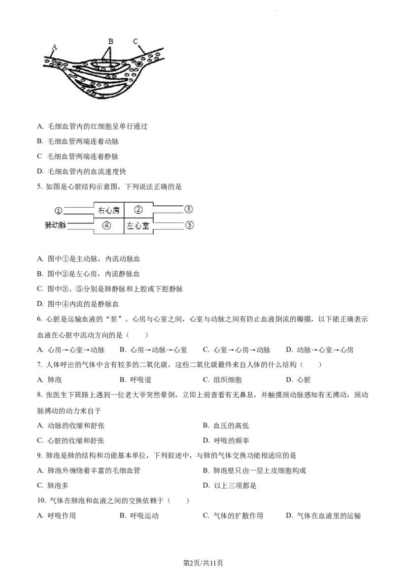 精品解析：北京市门头沟区2019-2020学年七年级下学期期末生物试题（原卷版）(1)_北京初中期末题_C605-京七八九_B京生物七八九_北京7下生物_2019-2020